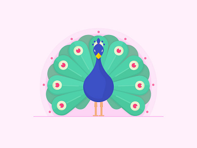 Peacock