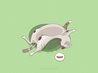 Dream adobe illustrator art cat character art design flat illustration vector