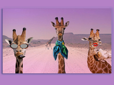 giraffe fashion photoshop