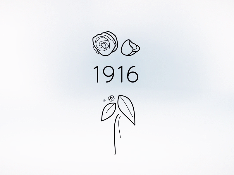 "100 Years of Bouquets" Flower Animation after effects bouquet flowers illustration interstitial loop outlines