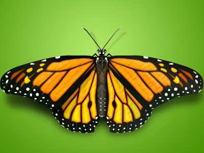 Butterfly butterfly decean fly free icon nelutu photoshop psd