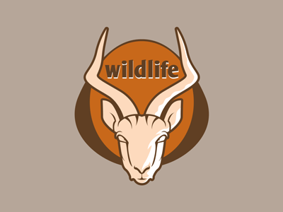 Wildlife free psd decean download free freebies illustration nelutu photoshop psd wildlife