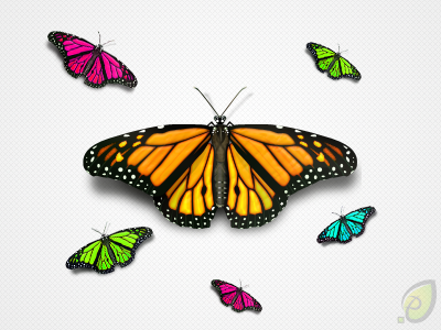 Butterfly Icon blue butterfly free freebie green icon icons illustration orange pink png psd