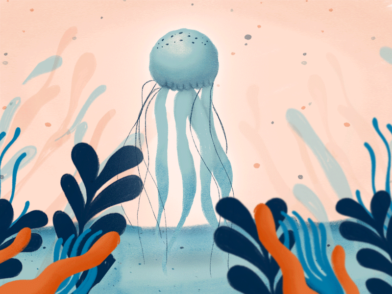 Jelly Fish in frame by frame 🐙 animation framebyframe illustration jellyfish photoshop procreate sea summer