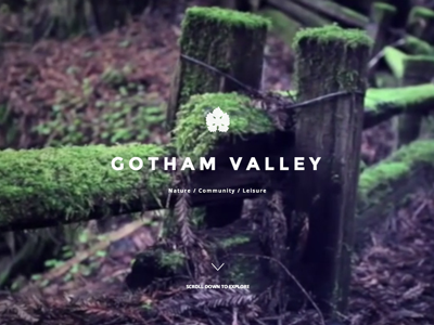 Gotham Valley web website