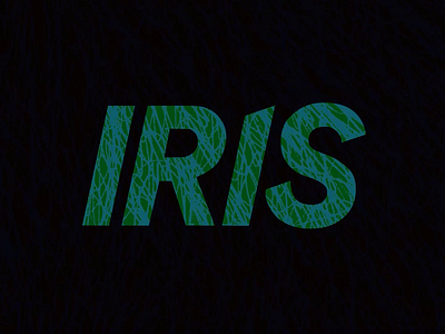 Iris logo ident animation No.6 animation branding design illustration motion design motion graphics title design typography