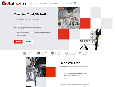 My Web project for Diginorm Company ui