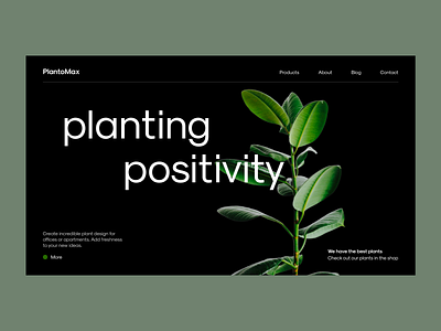 Plants | First screens design e commerce firstscreen plants typography ui web