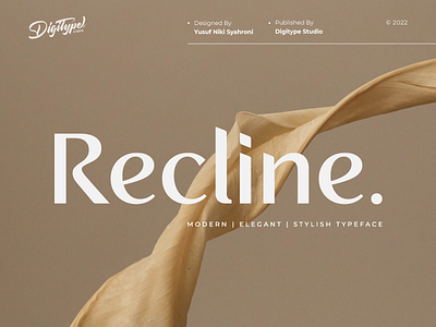 Recline Font | Digitype Studio