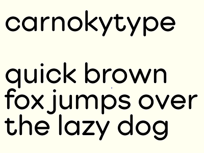 CarnokyType custom font carnokytype font logo logotype redesign typaface type typography