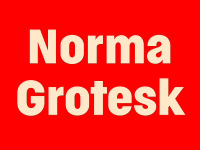 Normatica carnokytype font grotesk sans serif type type design typeface