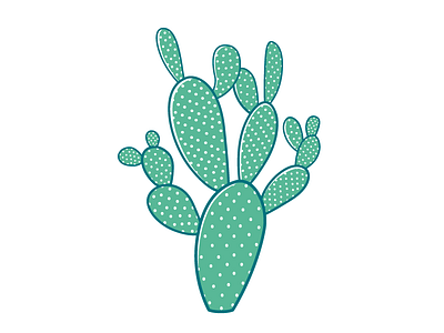 cactus cactus floral opuntia illüstration succulent