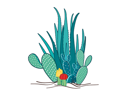 Cactus family cactus floral illustration opuntia succulent