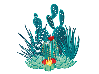 Cactus family cactus floral illüstration opuntia succulent