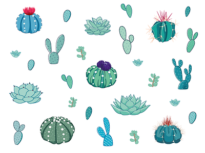 Lovely Cacti cactus illustration opuntia succulent
