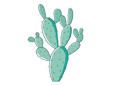 Opuntia cactus illustration opuntia plants