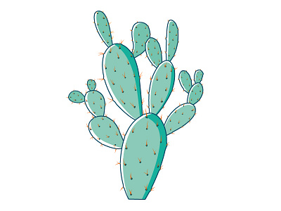 Opuntia