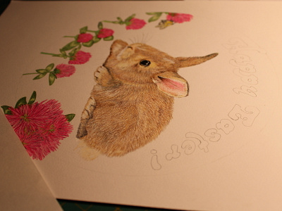 Rabbit in progress clover coloredpencil fourwindsgraphics hand drawn illustration rabbit