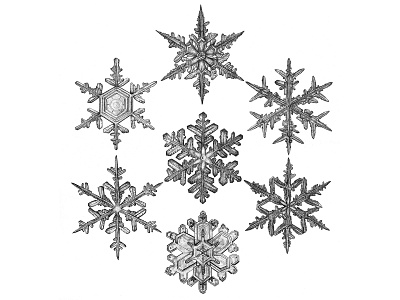 Snowflakes design fourwindsgraphics geometric design graphite hand drawn illustration pencil drawing snow snowflakes winter