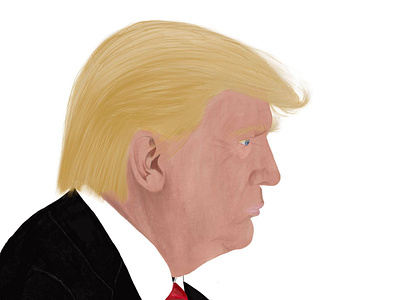 President Donald J Trump 2020 digital digital illustration fourwindsgraphics illustration portrait presidents trump