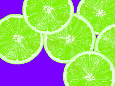 Limes - Digital digital digital illustration fourwindsgraphics fruit green illustration illustrator lime limes peggy hellem