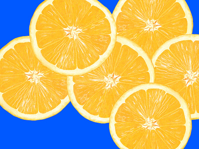 Oranges - Digital digital digital illustration fourwindsgraphics fruit illustration illustrator orange oranges peggy hellem