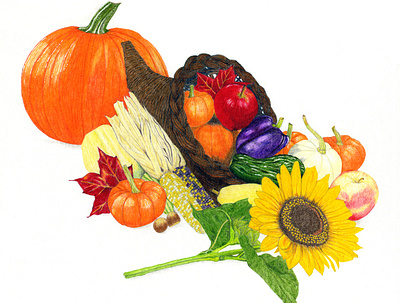 Cornucopia coloredpencil cornucopia food illustration fourwindsgraphics hand drawn illustration pumpkin sunflower thanksgiving