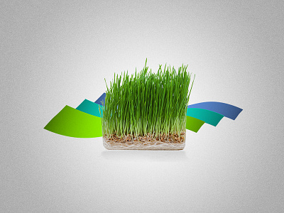 Illustration for Iranian New Year and start of spring: Nowruz cat grass green iranian nowruz