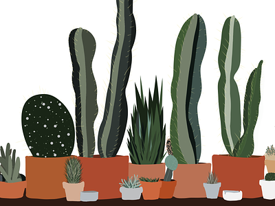 cactus art cactus illustration plants