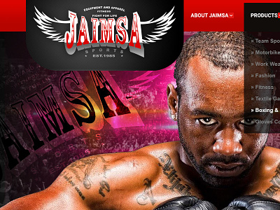 Jaimsa Sports boxing logo red web interface web site interface website logo