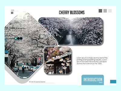 Layout Cherry Blossoms "Japanese Beauties" art beauty branding design flowers graphic design japan layout photoshop ui vector