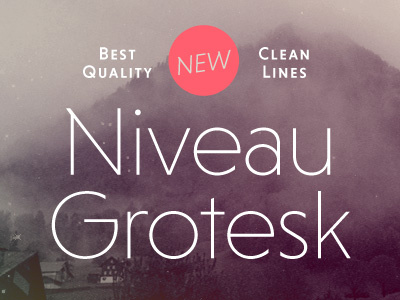 Niveau Grotesk fonts geometric hvd type design typography