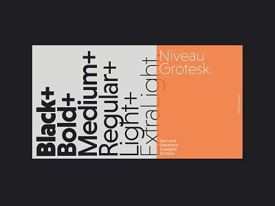 Niveau Grotesk design font fonts geometric hvd sans sans serif type design typeface typography