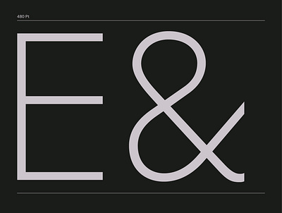 FF Basic Gothic ampersand branding design fonts geometric graphic hvd industrial sans sanserif specimen type typedesign typeface typogaphy typographic typography vector