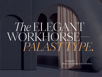 The elegant workhorse: Palast Type. branding design fonts hvd optical sizes serif serif type ty type system typedesign typeface typography variable variable font