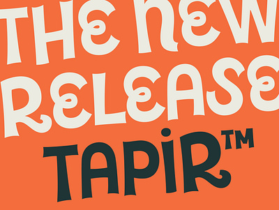 Tapir – Typeface display type font fonts fun hvd illustration packaging typedesign typeface typography