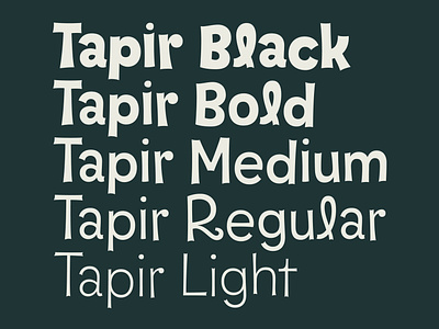 Tapir – Weights design font fontdesign fonts hvd hvdfonts typedesign typeface typography