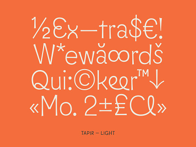 Tapir — Light design font fontdesign fonts hvd lettering script typedesign typeface typography