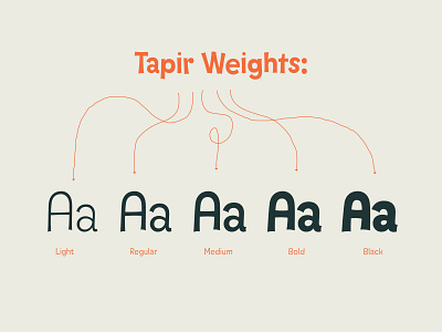 Tapir – Weights design font fontdesign fonts hvd type typedesign typeface typo typography