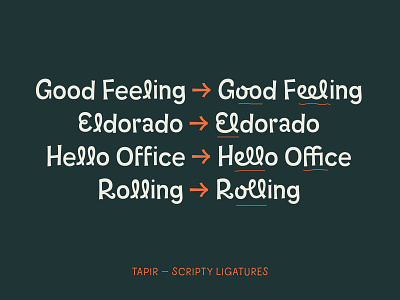 Tapir – Ligatures design font fontdesign fonts hendlettering hvd lettering ligature ligatures script tapir type family typedesign typeface typography