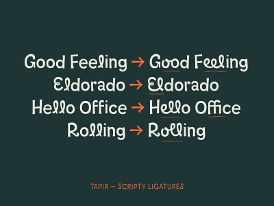 Tapir – Ligatures