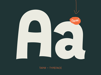 Tapir — Typeface design display font font fontdesign fonts fun hvd hvdfonts type typedesign typeface typo typography