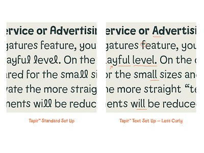 Tapir — Standard vs. Text Set Up curly design display font display type easy font font design fonts fun hvd hvdfonts text face type type design typedesign typeface typo typography