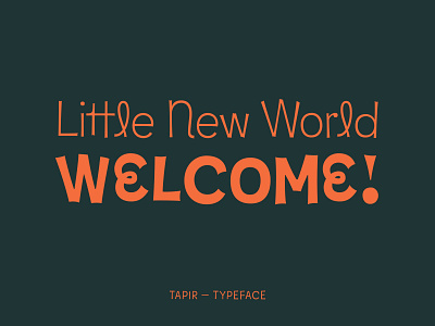 Tapir — Typeface cute design display font easy font font design fonts fun funfont good vibes hvd kids little type typedesign typeface typo typography