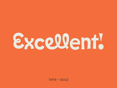 Tapir — Typeface design font font design fonts fun games hvd kids ligature ligatures type typedesign typeface typo typography