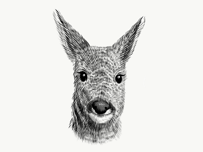 roe deer sketch art black deer drawing illustration monochrome roe sketch vector