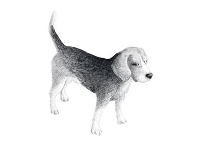 Beagle puppy dog illustration animal art artwork beagle dog domestic drawing drawn friend hand illustration pet puppy sketch stand