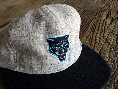 Panthers Ebbett's throwback hat