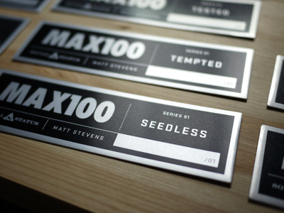 Max100 Metal Plates1