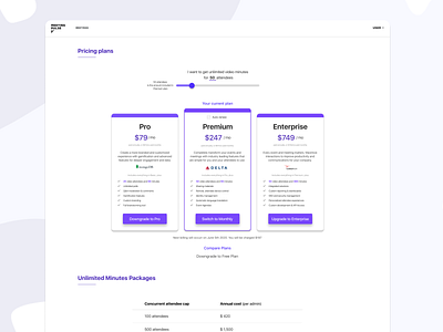 Pricing Plan Design 💵 💸